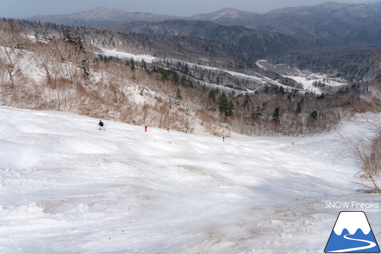 札幌国際スキー場｜2023・ゴールデンウィークがスタート！心配された雪ですが…。大丈夫、ちゃんと残ってくれました(^_-)-☆